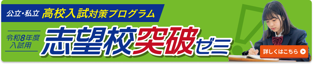 志望校突破ゼミリンクPC
